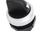 LPCS130 Pushbutton Switches