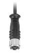 M8Cab-3-F-WE-M  Wire & Cable