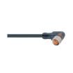RKMWV 3-06/2 M Sensor Cables / Actuator Cables