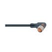 RKMWV 3-224/5 M Sensor Cables / Actuator Cables