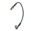 RST 4-RKWT/LED P 4-265/0.3 Sensor Cables / Actuator Cables