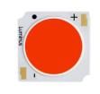 CXM-14-HM-61-36-AC30-P1-3 High Power LEDs - White