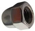 M6- DNA2-S50- 