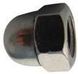 M8- DNA2-S25- 