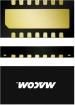 MAGX-000035-05000P  Semiconductors