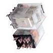 782XAXC-110/120A General Purpose Relays
