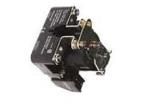 W199DX-2 General Purpose Relays