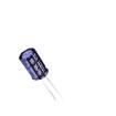 EGT107M2AG16RR Aluminium Electrolytic Capacitors - Radial Leaded
