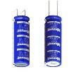 BCAP0010 P300 X12  Passive Components
