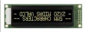 MC22005A12W-VNMLY 