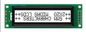 MC22005A6W-FPTLW 