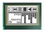 MCCOG240160C6W-FPTLW 