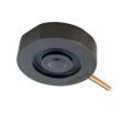 FX293X-100A-0010-L  Sensors