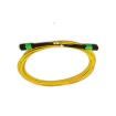12MTFX24K0-20M  Wire & Cable