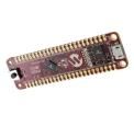 DM182029  Embedded Solutions
