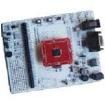 DM300019 Development Boards & Kits - PIC/DSPIC