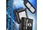 DSPIC33FJ06GS202-E/SP Digital Signal Processors & Controllers - DSP, DSC