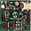 MCP355XDM-TAS electronic component of Microchip