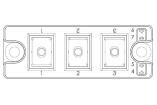 MSCDC100A170D1PAG electronic component of Microchip