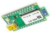RN-41-EK  Embedded Solutions