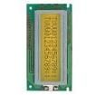 NMTC-S16204XFGHSAY-10 LCD Character Display Modules & Accessories