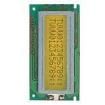 NMTC-S16204XFYHSAY-10 LCD Character Display Modules & Accessories
