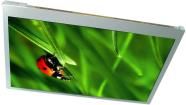 UMSH-8253MD-3T  Optoelectronics