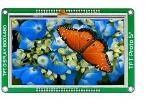 MIKROE-1686 Embedded Solutions