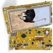 MIKROE-2385 Development Boards & Kits - Other Processors