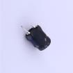 RL0608N-100K Fixed Inductors