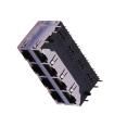 MJ5988-B024-RSF4 Modular Connectors / Ethernet Connectors