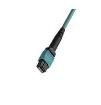 106284-1005 Fibre Optic Cable Assemblies