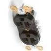 1301480099 AC Power Plugs & Receptacles