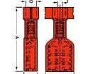 19003-0005 Terminals