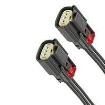 216280-1031 Specialised Cables