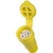 29W81 AC Power Plugs & Receptacles