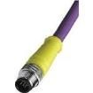B05S06PP4M050 Sensor Cables / Actuator Cables