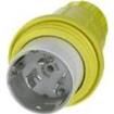 CS63W65 AC Power Plugs & Receptacles