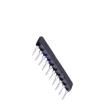 RAA10103G Resistor Networks & Arrays