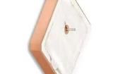 MPA-254 Antennas