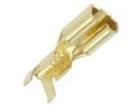 MS_4,8-2/100  Connectors