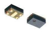 LXRW19V330-050  Passive Components