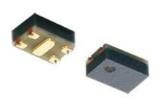 LXRW19V600-055  Passive Components