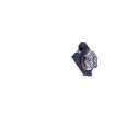 TZC3Z060AA01R00 Trimmer/Variable Capacitors