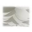NAP-0112-025 