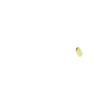 NCD0402W1 Standard LEDs - SMD