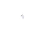 NCD0603O1 Standard LEDs - SMD