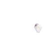 NCD0805G1 Standard LEDs - SMD