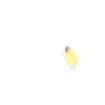 NCD1206W1 Standard LEDs - SMD