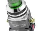 NEF30-WLZXY-230VAC Pushbutton Switches